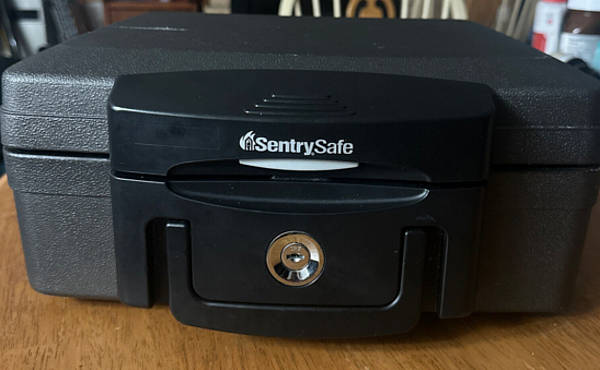 sentry 1200 safe